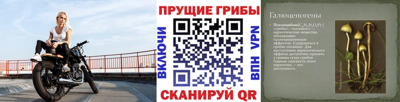 Галлюциногенные грибы Magic Shrooms  Катав-Ивановск 